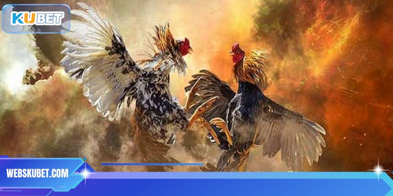 Cược dựa theo lịch sử đấu