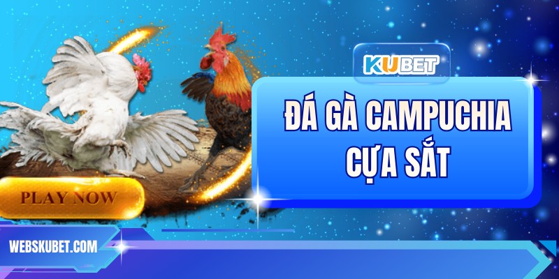 Đá Gà Campuchia Cựa Sắt – Kinh Nghiệm Và Chiến Thuật Hay