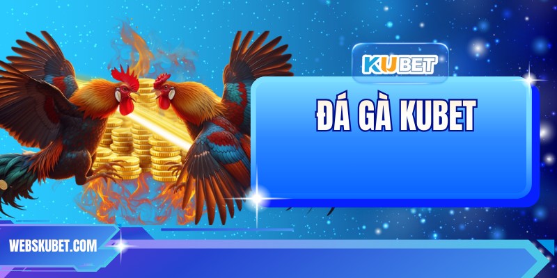 Đá Gà KUBET - Đa Dạng Trận Đấu Hot, Ưu Đãi Khủng