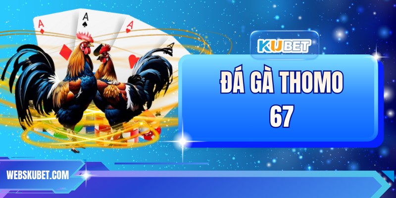 Đá Gà Thomo 67 - Sân Chơi Uy Tín, Minh Bạch Tuyệt Đối