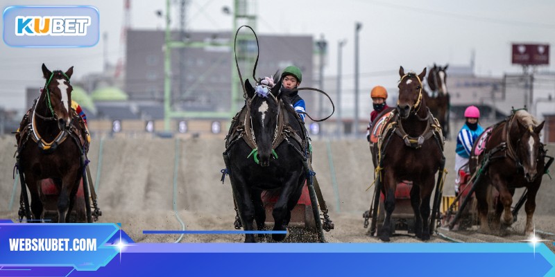 Hướng dẫn cược kèo đua ngựa Nhật Bản chuẩn