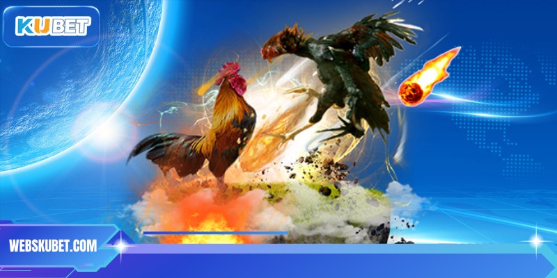 Khám phá đá gà campuchia cựa sắt cực hot