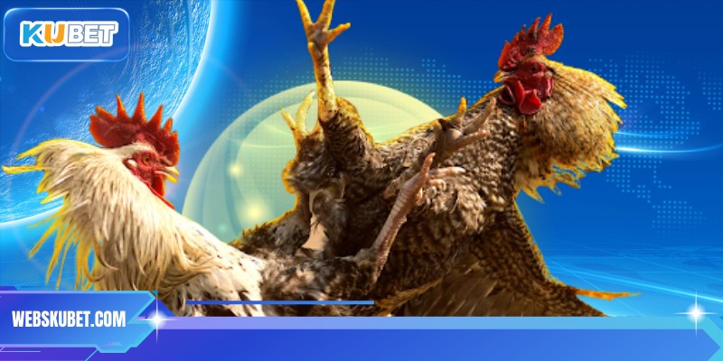 Mẹo chơi cho anh em tân thủ