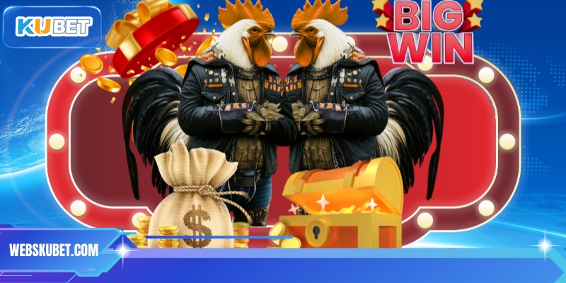 Thỏa sức cược đá gà KUBET tại nền tảng