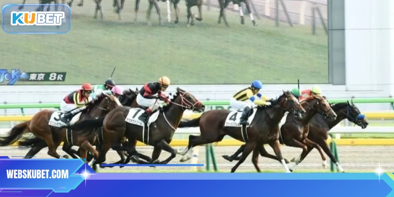 Tổng quan kèo đua ngựa