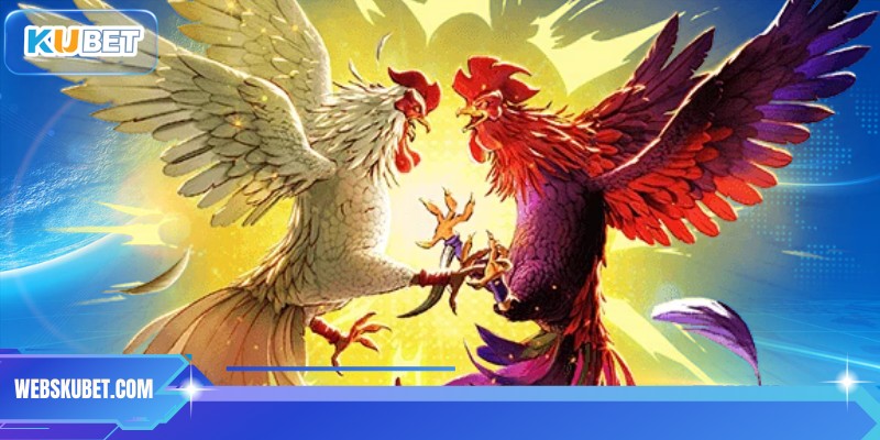 Trực tiếp những trận đấu đỉnh cao tại bồ gà Thomo 67 