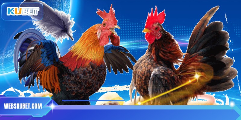 Ưu điểm khi xem đá gà tre