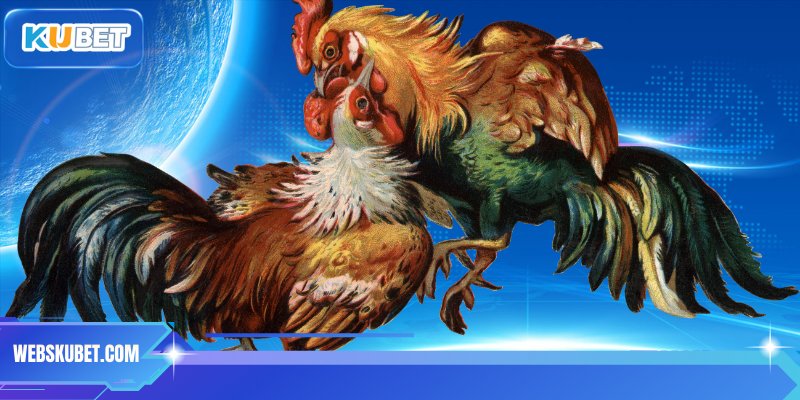 Xem các trận đấu cực kỳ sắc nét