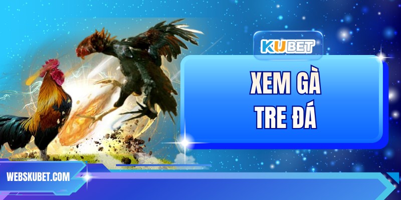 Xem Gà Tre Đá - Hướng Dẫn Theo Dõi Và Cá Cược Tại KUBET